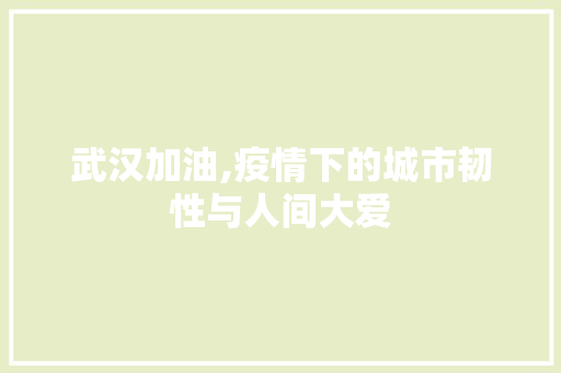 武汉加油,疫情下的城市韧性与人间大爱