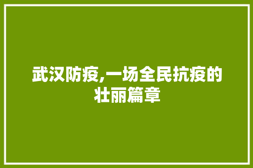 武汉防疫,一场全民抗疫的壮丽篇章