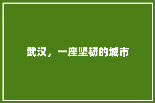 武汉，一座坚韧的城市