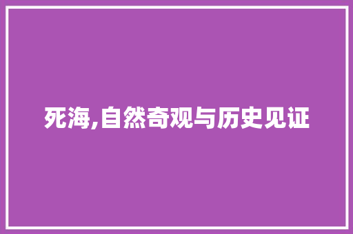 死海,自然奇观与历史见证