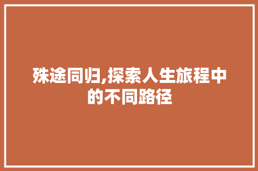 殊途同归,探索人生旅程中的不同路径