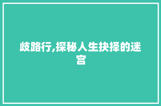 歧路行,探秘人生抉择的迷宫