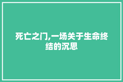 死亡之门,一场关于生命终结的沉思