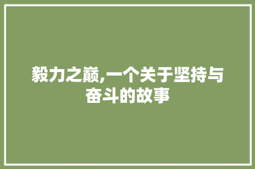 毅力之巅,一个关于坚持与奋斗的故事