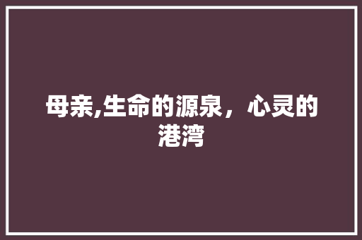 母亲,生命的源泉，心灵的港湾