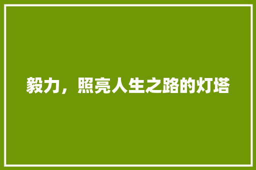 毅力，照亮人生之路的灯塔