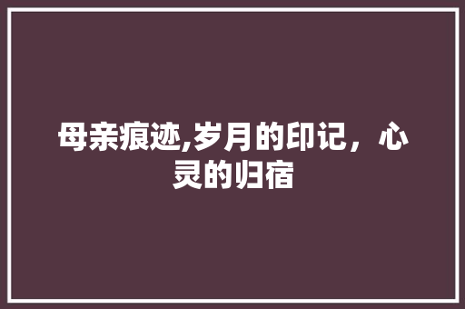 母亲痕迹,岁月的印记，心灵的归宿