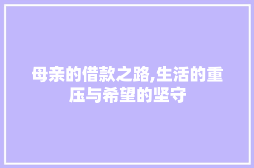 母亲的借款之路,生活的重压与希望的坚守