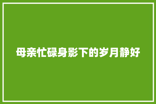 母亲忙碌身影下的岁月静好