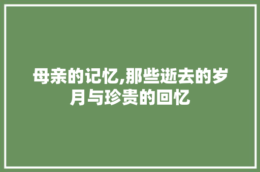 母亲的记忆,那些逝去的岁月与珍贵的回忆