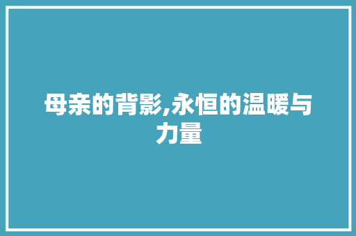 母亲的背影,永恒的温暖与力量