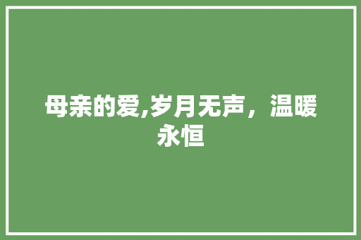 母亲的爱,岁月无声，温暖永恒