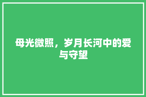 母光微照，岁月长河中的爱与守望