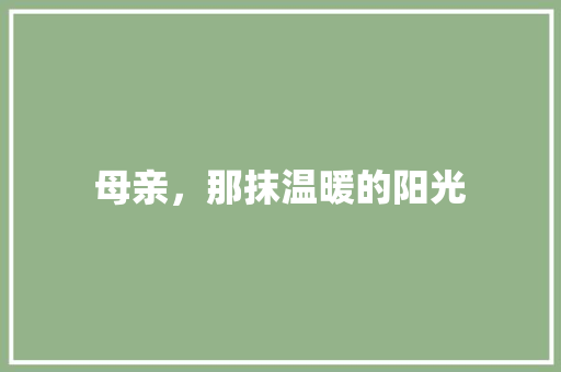 母亲，那抹温暖的阳光