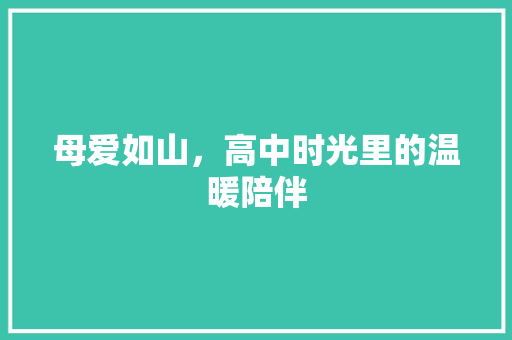 母爱如山，高中时光里的温暖陪伴