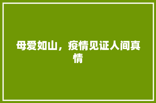 母爱如山，疫情见证人间真情