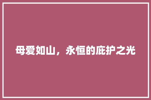 母爱如山，永恒的庇护之光