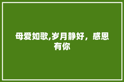 母爱如歌,岁月静好，感恩有你