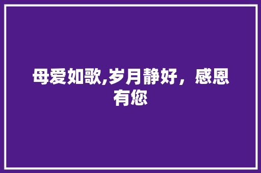 母爱如歌,岁月静好，感恩有您