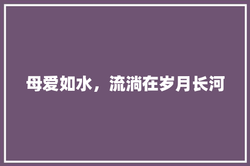 母爱如水，流淌在岁月长河