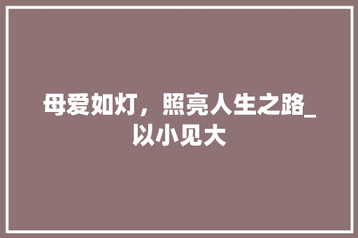 母爱如灯，照亮人生之路_以小见大