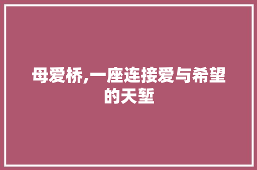 母爱桥,一座连接爱与希望的天堑