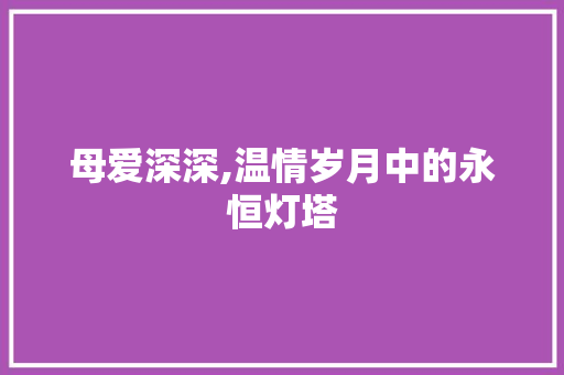 母爱深深,温情岁月中的永恒灯塔