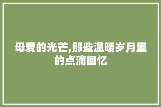 母爱的光芒,那些温暖岁月里的点滴回忆