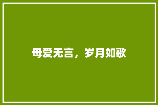 母爱无言，岁月如歌