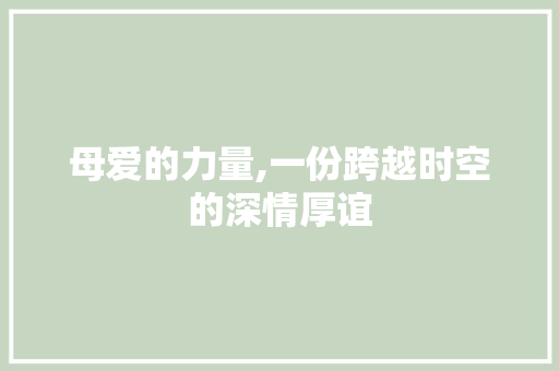 母爱的力量,一份跨越时空的深情厚谊