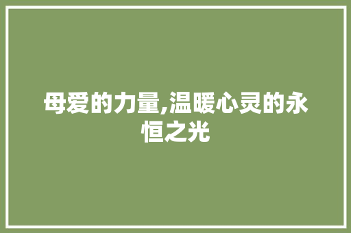 母爱的力量,温暖心灵的永恒之光