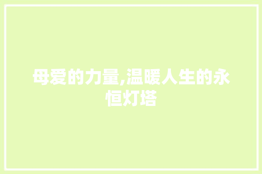 母爱的力量,温暖人生的永恒灯塔