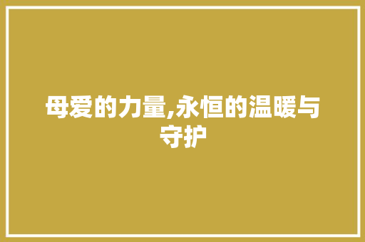 母爱的力量,永恒的温暖与守护