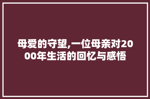 母爱的守望,一位母亲对2000年生活的回忆与感悟