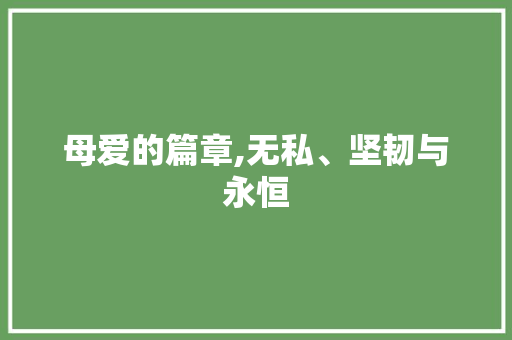 母爱的篇章,无私、坚韧与永恒