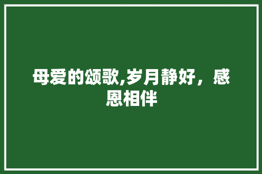 母爱的颂歌,岁月静好，感恩相伴