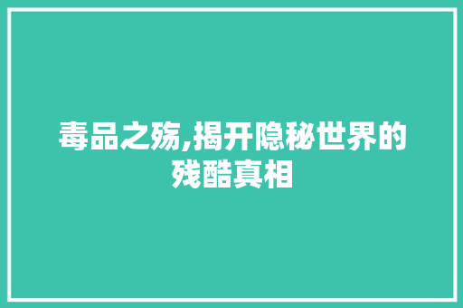 毒品之殇,揭开隐秘世界的残酷真相