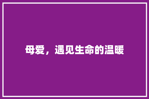 母爱，遇见生命的温暖