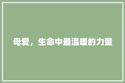 母爱，生命中最温暖的力量