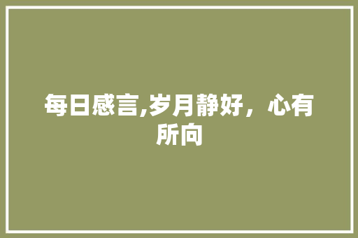 每日感言,岁月静好，心有所向