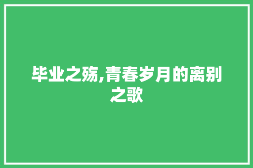 毕业之殇,青春岁月的离别之歌