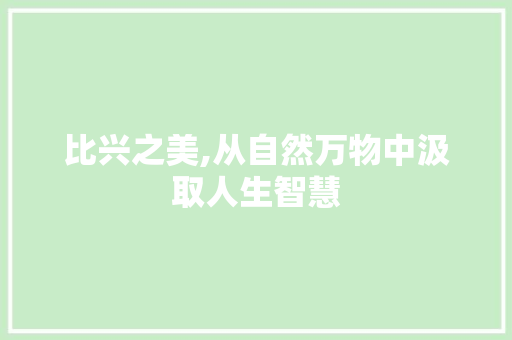 比兴之美,从自然万物中汲取人生智慧