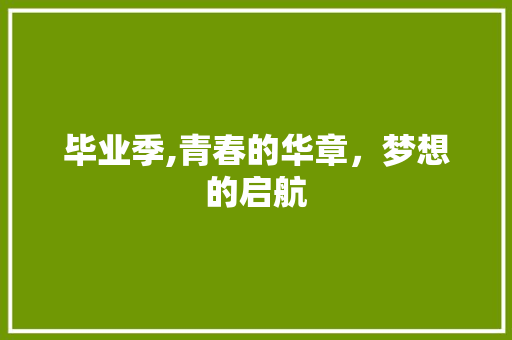 毕业季,青春的华章，梦想的启航