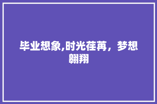 毕业想象,时光荏苒，梦想翱翔