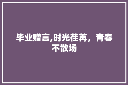 毕业赠言,时光荏苒，青春不散场