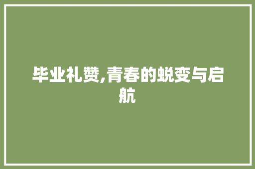 毕业礼赞,青春的蜕变与启航