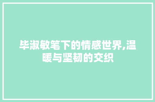 毕淑敏笔下的情感世界,温暖与坚韧的交织