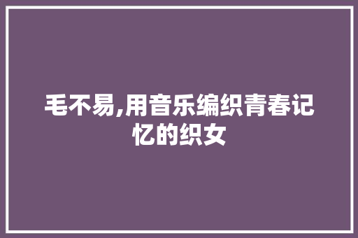 毛不易,用音乐编织青春记忆的织女