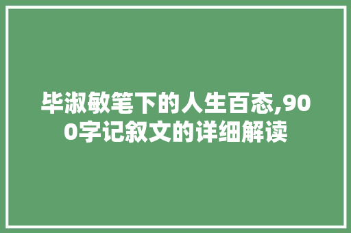 毕淑敏笔下的人生百态,900字记叙文的详细解读