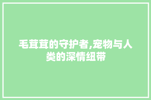 毛茸茸的守护者,宠物与人类的深情纽带